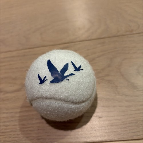 2026 open grey goose white - grey,